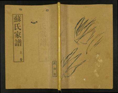 江苏苏氏族谱-苏氏家谱.pdf电子版缩略图