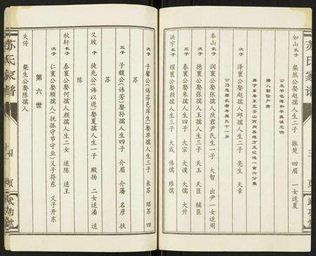 江苏苏氏族谱-苏氏家谱.pdf电子版预览图4