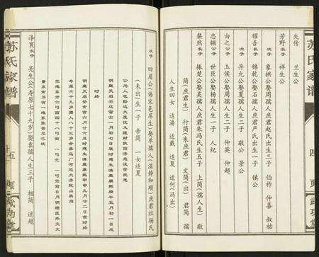 江苏苏氏族谱-苏氏家谱.pdf电子版预览图5