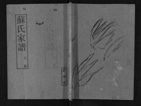 江苏苏氏族谱-苏氏家谱.pdf电子版缩略图