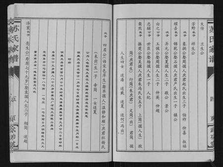 江苏苏氏族谱-苏氏家谱.pdf电子版预览图5