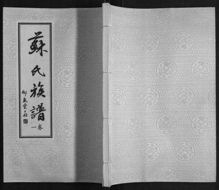 江苏苏氏族谱-苏氏族谱.pdf电子版缩略图