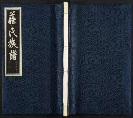 江苏苏氏族谱-苏氏族谱 [上下2卷].pdf电子版缩略图