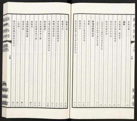 江苏苏氏族谱-苏氏族谱 [上下2卷].pdf电子版预览图5