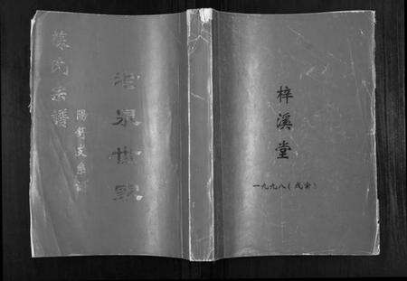 湖北苏氏族谱-苏氏宗谱.pdf电子版缩略图