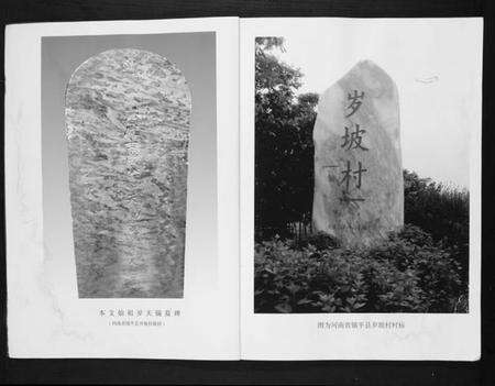 江苏岁氏族谱-岁氏家谱.pdf电子版预览图2
