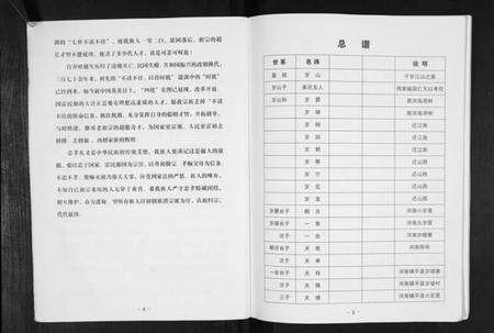 江苏岁氏族谱-岁氏家谱.pdf电子版预览图5