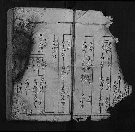 江西温氏族谱-堂下雅儒堂温氏七修族谱.pdf电子版预览图2