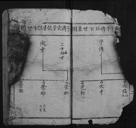 江西温氏族谱-堂下雅儒堂温氏七修族谱.pdf电子版预览图3