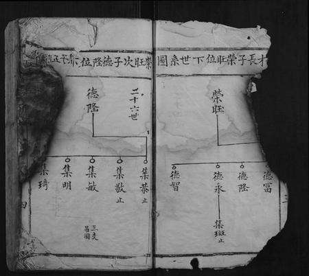 江西温氏族谱-堂下雅儒堂温氏七修族谱.pdf电子版预览图4