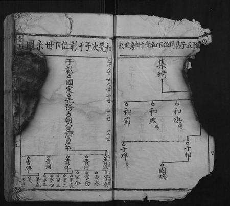 江西温氏族谱-堂下雅儒堂温氏七修族谱.pdf电子版预览图5