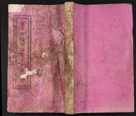 江西温氏族谱-堂下雅儒堂温氏十三修族谱.pdf电子版缩略图