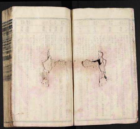 江西温氏族谱-堂下雅儒堂温氏十三修族谱.pdf电子版预览图2