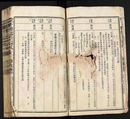 江西温氏族谱-堂下雅儒堂温氏十三修族谱.pdf电子版预览图3