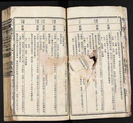 江西温氏族谱-堂下雅儒堂温氏十三修族谱.pdf电子版预览图5