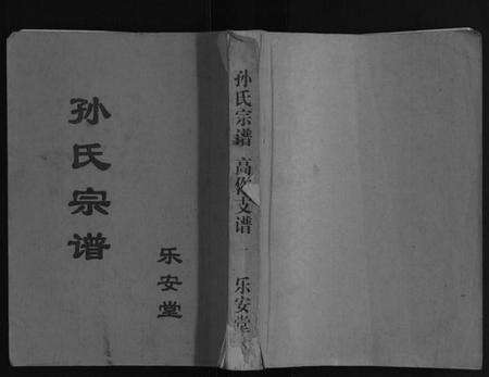 江苏孙氏族谱-孙氏宗谱.pdf电子版缩略图