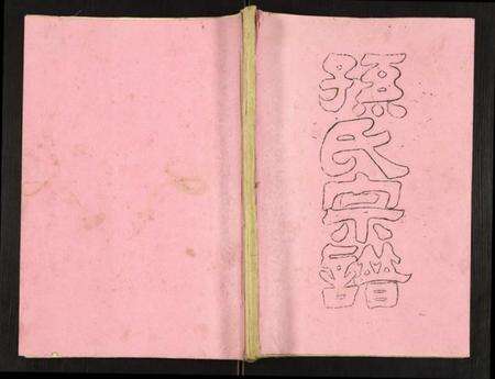 江苏孙氏族谱-孙氏宗谱.pdf电子版缩略图