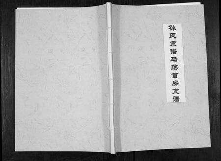 江苏孙氏族谱-孙氏宗谱马荡首房支谱[不分卷].pdf电子版缩略图