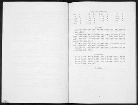 江苏孙氏族谱-孙氏宗谱马荡首房支谱[不分卷].pdf电子版预览图5