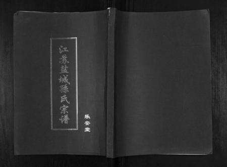 江苏孙氏族谱-盐城孙氏宗谱.pdf电子版缩略图