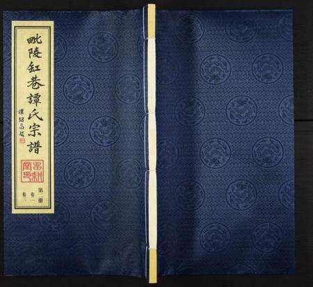 江苏谭氏族谱-毗陵·缸巷谭氏宗谱.pdf电子版缩略图