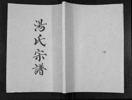 江苏汤氏族谱-汤氏宗谱.pdf电子版缩略图