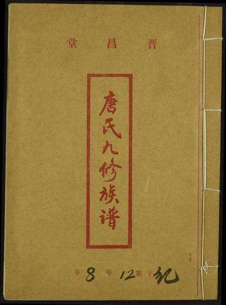 中国唐氏族谱-唐氏九修族谱.pdf电子版缩略图