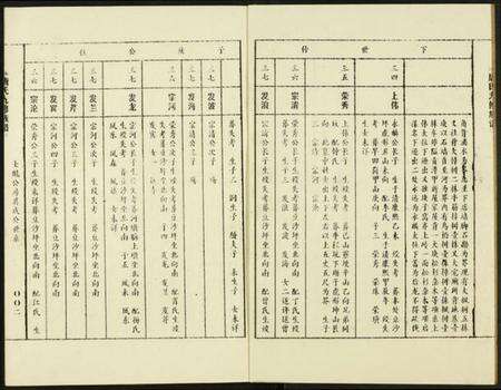 中国唐氏族谱-唐氏九修族谱.pdf电子版预览图2