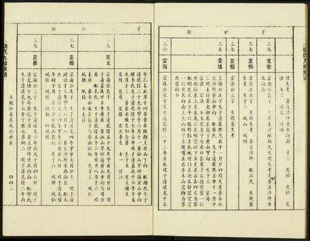 中国唐氏族谱-唐氏九修族谱.pdf电子版预览图3