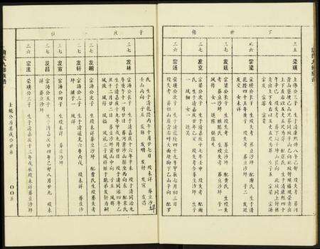 中国唐氏族谱-唐氏九修族谱.pdf电子版预览图5