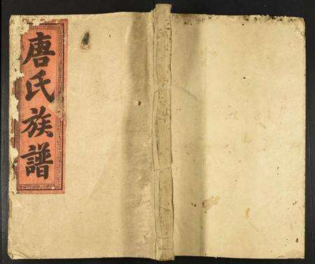 中国唐氏族谱-唐氏重修族谱.pdf电子版缩略图