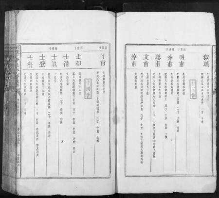 江西吴氏族谱-永丰中沙吴氏九修族谱.pdf电子版预览图2