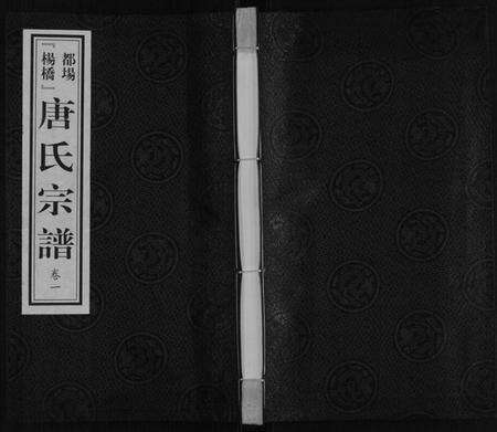 江苏唐氏族谱-唐氏宗谱.pdf电子版缩略图