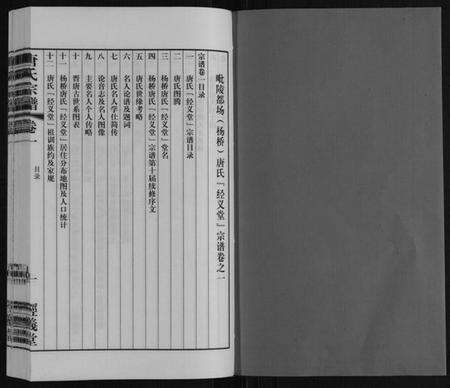 江苏唐氏族谱-唐氏宗谱.pdf电子版预览图1