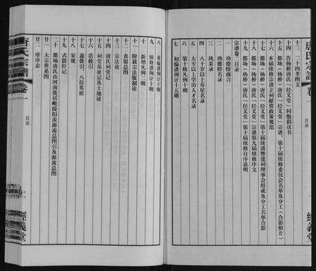 江苏唐氏族谱-唐氏宗谱.pdf电子版预览图2