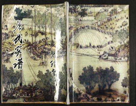 江苏唐氏族谱-唐氏家谱.pdf电子版缩略图