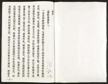 江苏唐氏族谱-唐氏家谱.pdf电子版预览图1