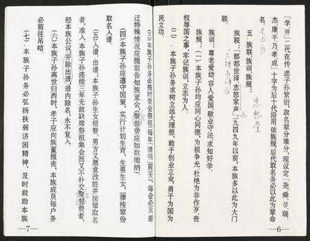 江苏唐氏族谱-唐氏家谱.pdf电子版预览图4