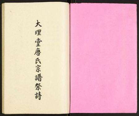 江苏唐氏族谱-大理堂唐氏宗谱.pdf电子版预览图1