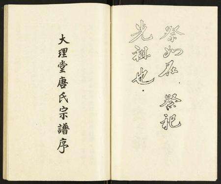 江苏唐氏族谱-大理堂唐氏宗谱.pdf电子版预览图4