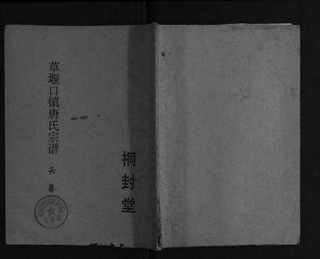 江苏唐氏族谱-草堰口镇唐氏宗谱[7卷头1卷].pdf电子版缩略图