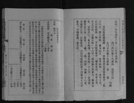 江苏唐氏族谱-草堰口镇唐氏宗谱[7卷头1卷].pdf电子版预览图3