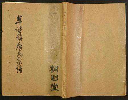 江苏唐氏族谱-草堰镇唐氏宗谱.pdf电子版缩略图