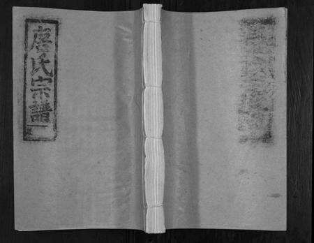 湖北唐氏族谱-唐氏宗谱.pdf电子版缩略图