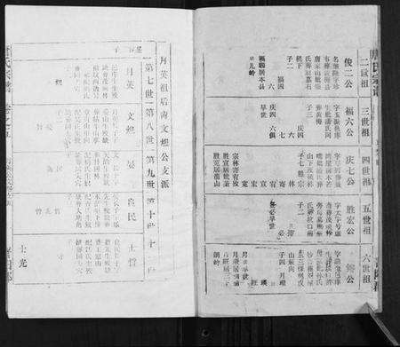 湖北唐氏族谱-唐氏宗谱.pdf电子版预览图2