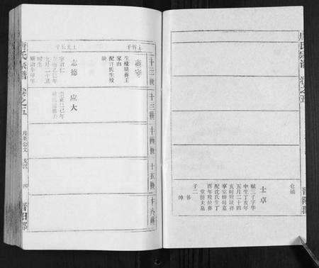 湖北唐氏族谱-唐氏宗谱.pdf电子版预览图5