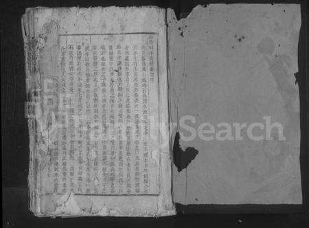 江西伍氏族谱-伍氏大成宗谱 [不分卷].pdf电子版预览图1