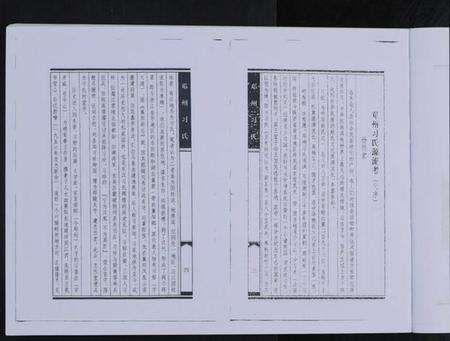 江西习氏族谱-邓州习氏 [全1册].pdf电子版预览图3