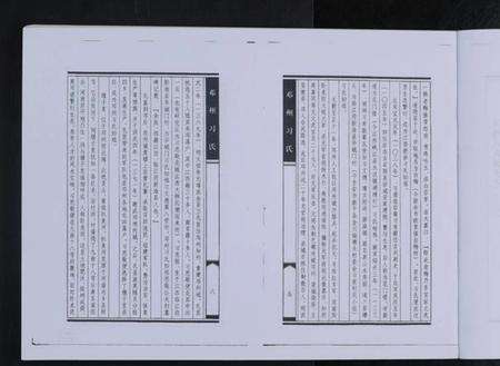 江西习氏族谱-邓州习氏 [全1册].pdf电子版预览图4