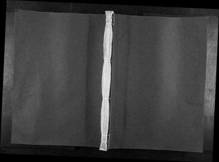 江西萧氏族谱-兴邑文溪萧氏七修族谱[不分卷].pdf电子版缩略图